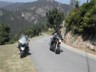 1 motard